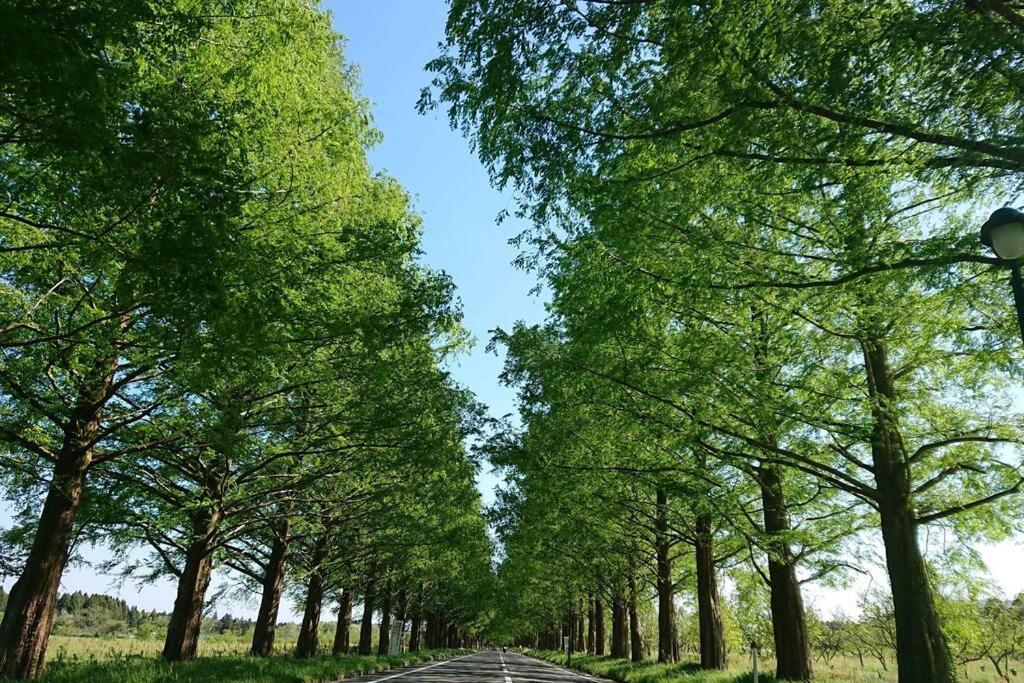 Farm Stay Inn Sanzaemon-Tei 母屋guesthouse Shiga-Takasima Traditional Japanese Architecture House Екстериор снимка