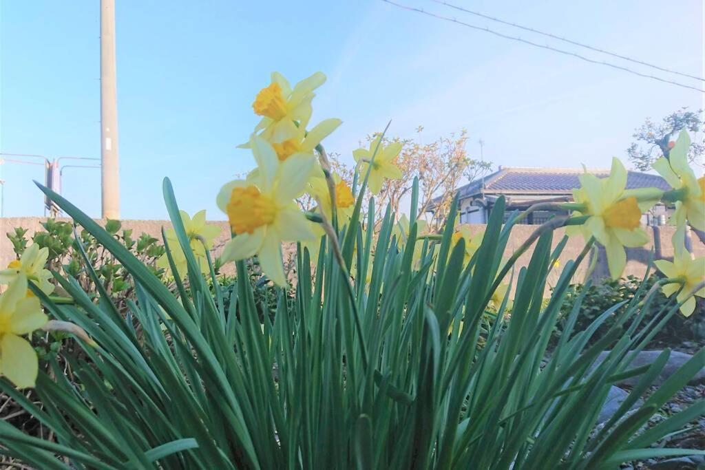 Farm Stay Inn Sanzaemon-Tei 母屋guesthouse Shiga-Takasima Traditional Japanese Architecture House Екстериор снимка